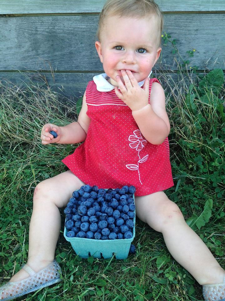 kid eating blueberries