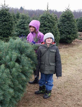 two children standing by a freshly cut tree